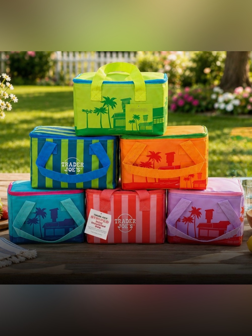 🆕 Trader Joe’s Mini Insulated Tote Bag Set of 6 Summer Reusable Cooler Bags